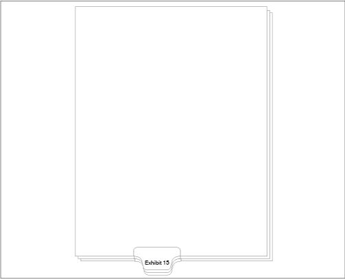 Standard Style Letter Size Exhibit Bottom Tab 15 (91315)25 Per Bag